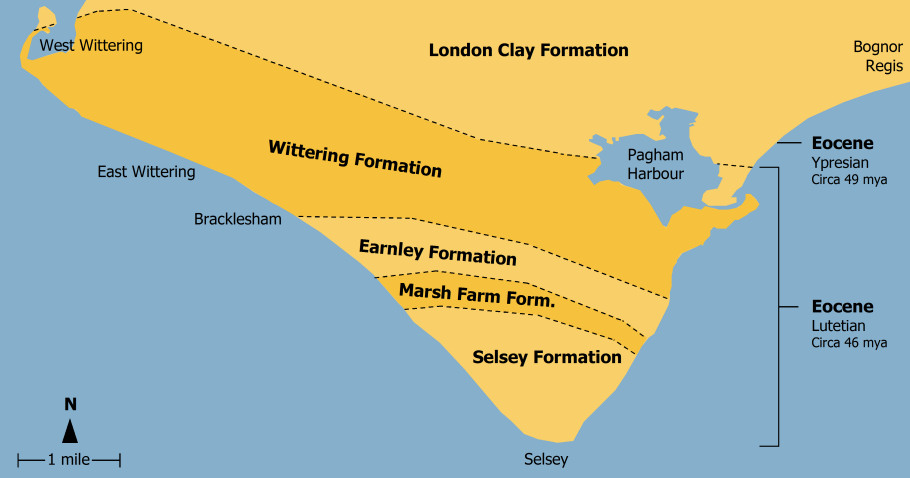 Bracklesham Bay and Selsey geology map diagram