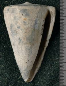 RGM.7530.b | Conus odengensis Martin, 1895