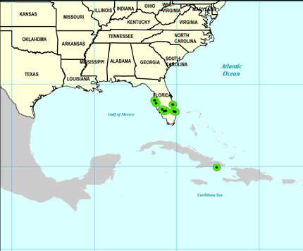 Late Pleistocene Map