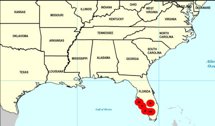 Late Pliocene Map