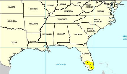Middle Pleistocene Map